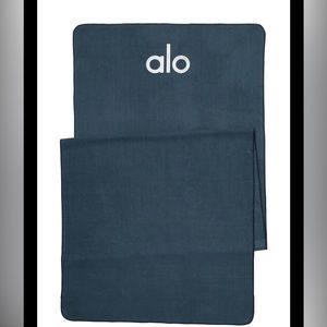Alo yoga blocks (2), mat, and no slip towel. All in color eclipse